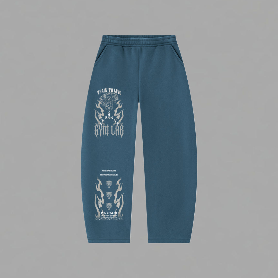 Beyond Limits Sweatpants (Barrel Leg Sweatpants)