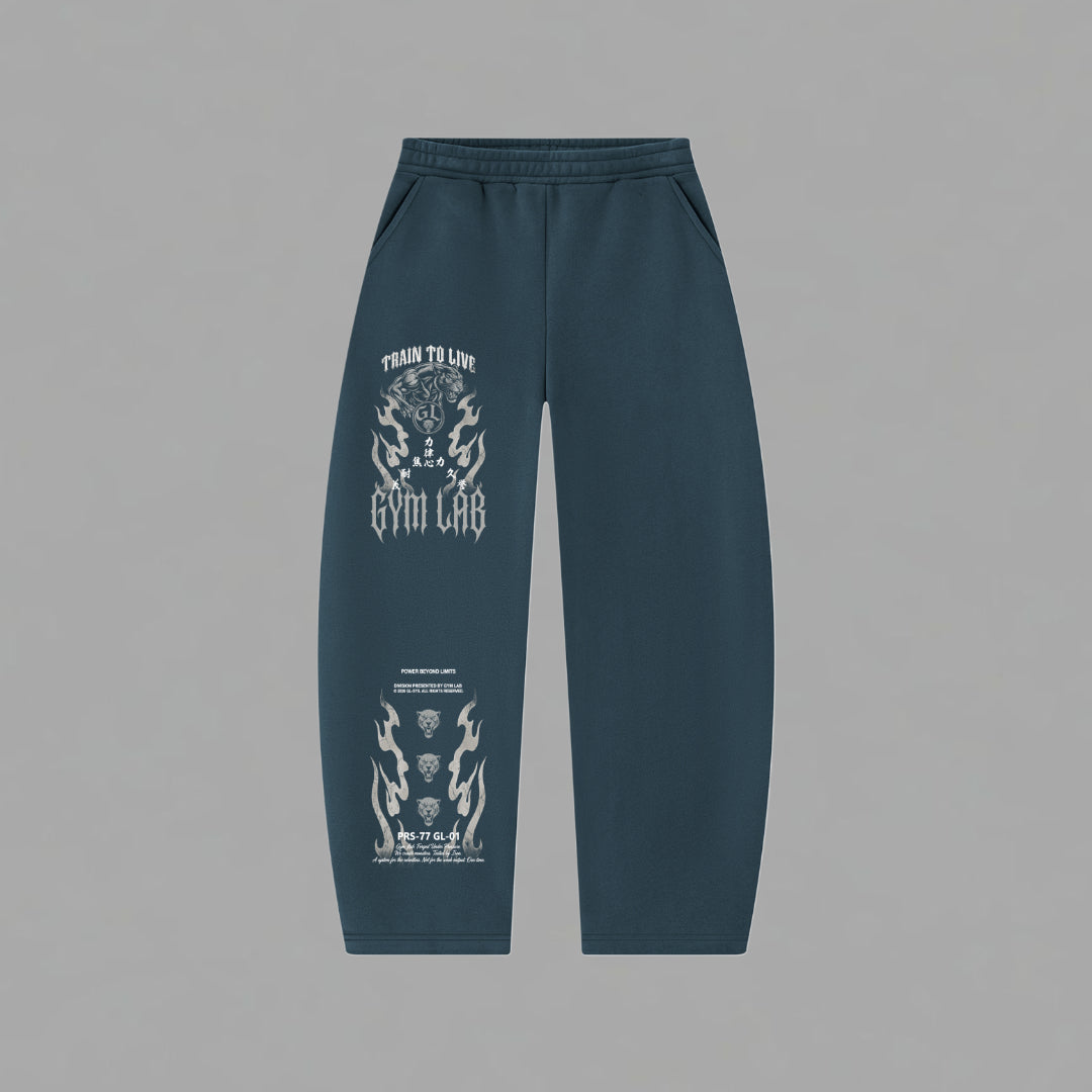 Beyond Limits Sweatpants (Barrel Leg Sweatpants)