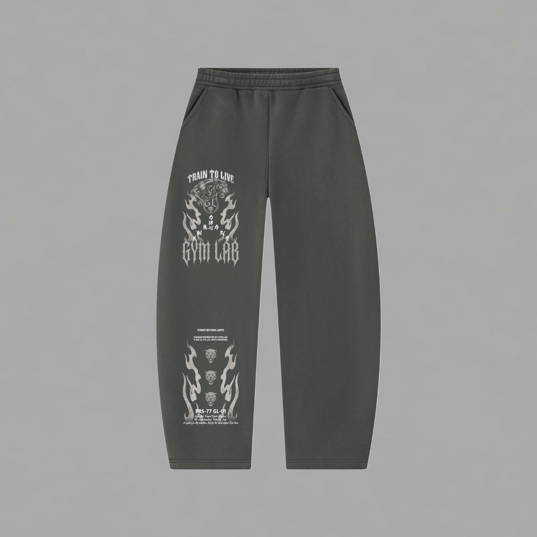 Beyond Limits Sweatpants (Barrel Leg Sweatpants)