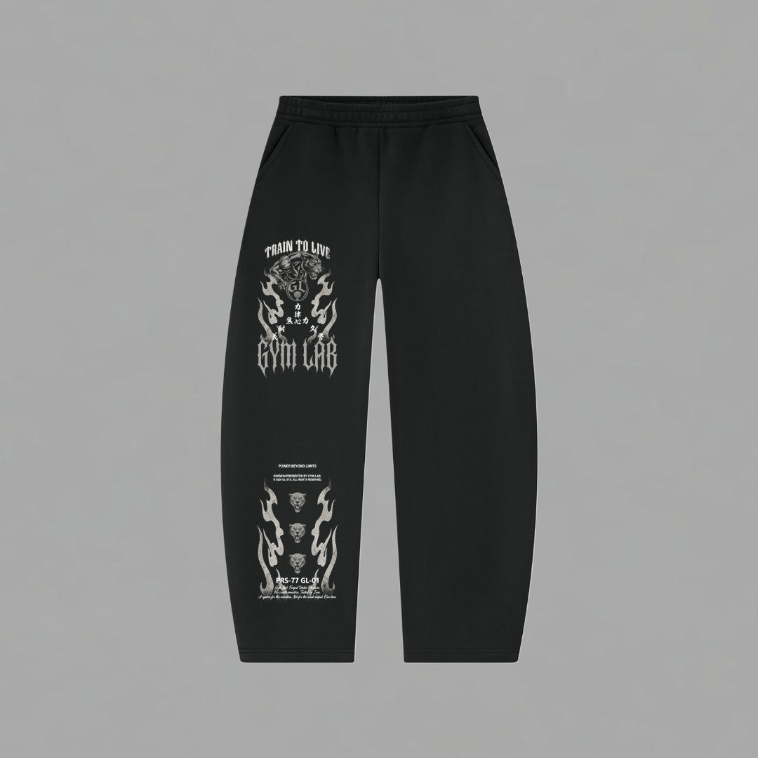 Beyond Limits Sweatpants (Barrel Leg Sweatpants)
